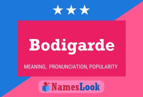 Poster del nome Bodigarde