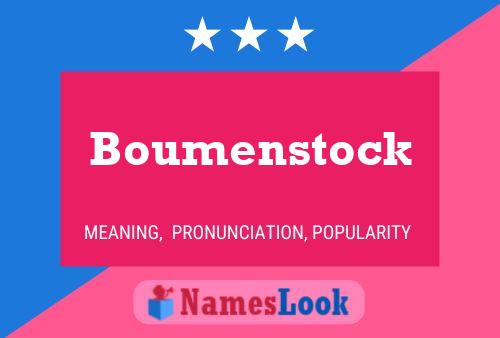 Poster del nome Boumenstock