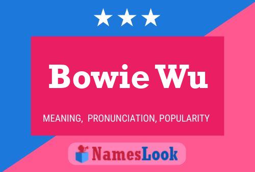 Poster del nome Bowie Wu