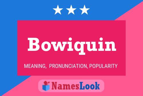 Poster del nome Bowiquin