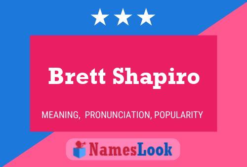 Poster del nome Brett Shapiro