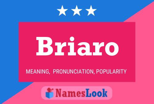 Poster del nome Briaro