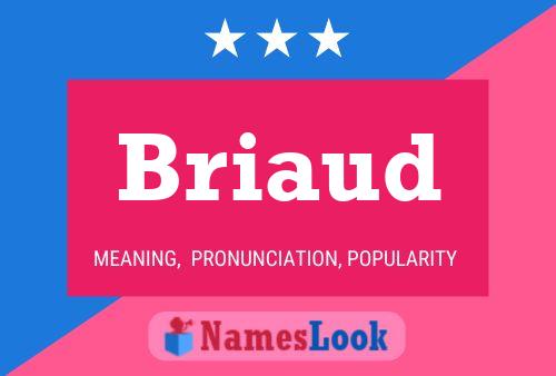 Poster del nome Briaud