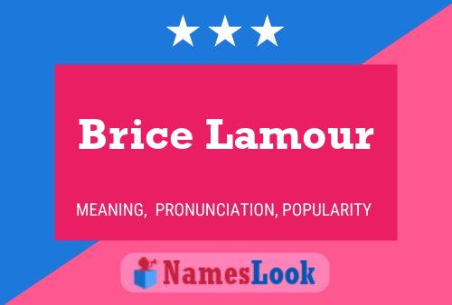 Poster del nome Brice Lamour