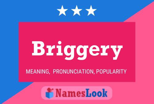 Poster del nome Briggery