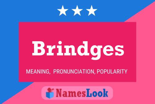 Poster del nome Brindges