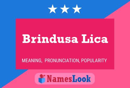 Poster del nome Brindusa Lica