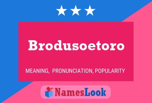 Poster del nome Brodusoetoro