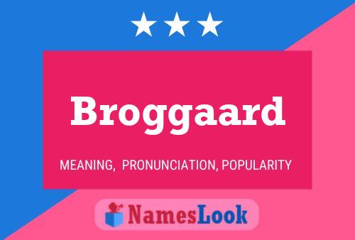 Poster del nome Broggaard