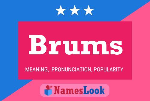 Poster del nome Brums