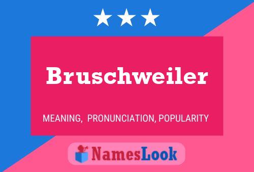 Poster del nome Bruschweiler