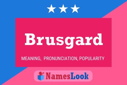 Poster del nome Brusgard