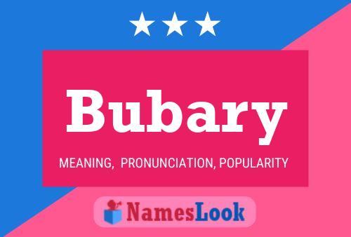 Poster del nome Bubary