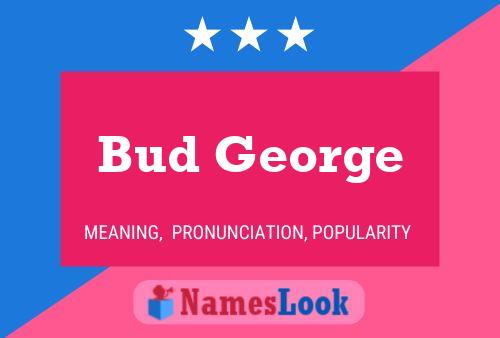 Poster del nome Bud George