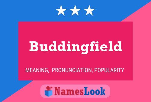 Poster del nome Buddingfield