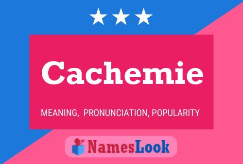 Poster del nome Cachemie