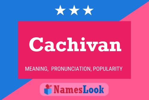 Poster del nome Cachivan