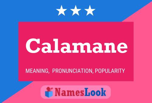 Poster del nome Calamane