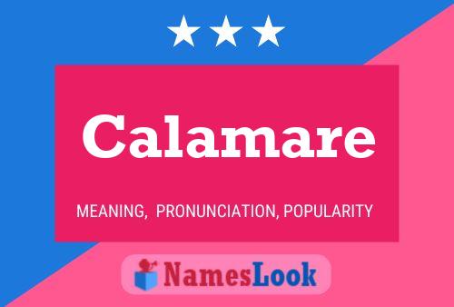 Poster del nome Calamare