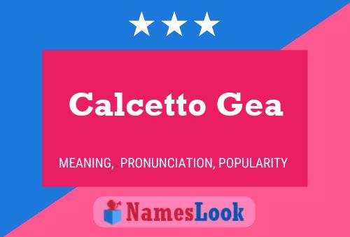 Poster del nome Calcetto Gea