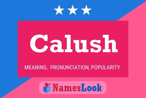 Poster del nome Calush