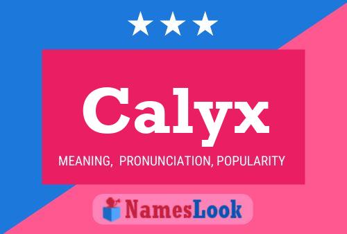 Poster del nome Calyx