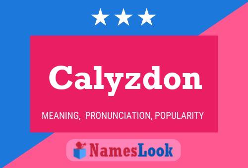 Poster del nome Calyzdon