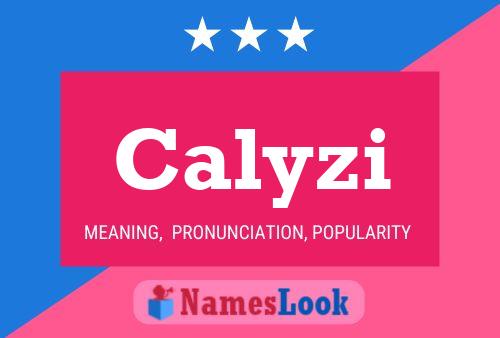 Poster del nome Calyzi