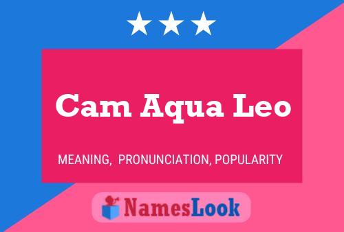 Poster del nome Cam Aqua Leo