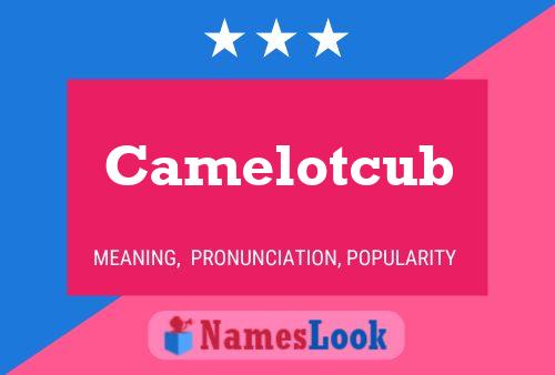 Poster del nome Camelotcub