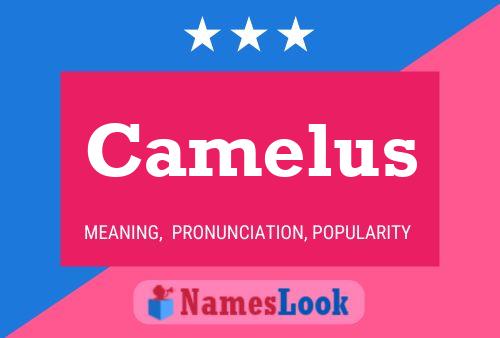 Poster del nome Camelus