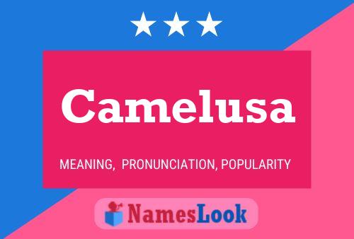 Poster del nome Camelusa