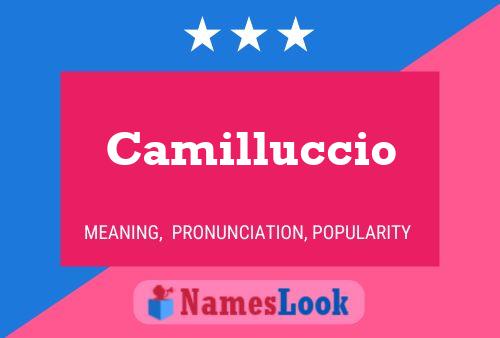 Poster del nome Camilluccio