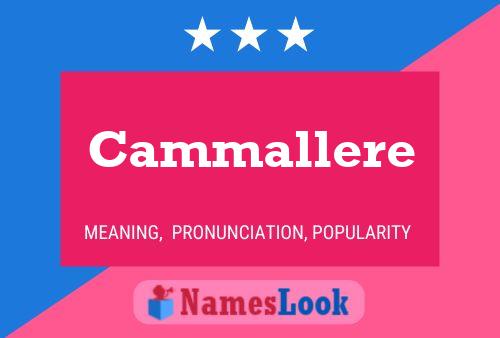 Poster del nome Cammallere