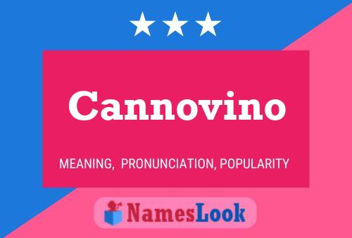 Poster del nome Cannovino