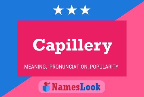 Poster del nome Capillery