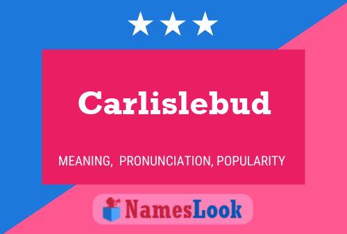 Poster del nome Carlislebud