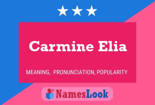 Poster del nome Carmine Elia