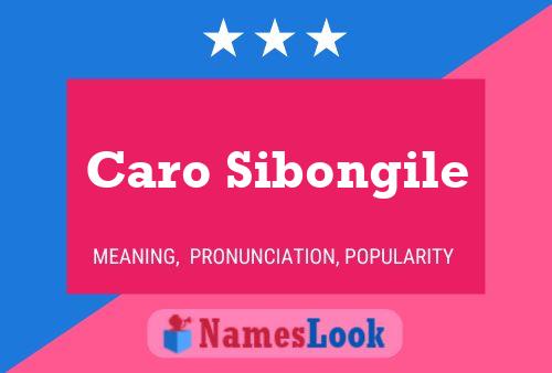 Poster del nome Caro Sibongile