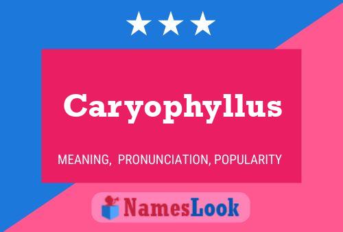 Poster del nome Caryophyllus