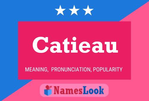 Poster del nome Catieau