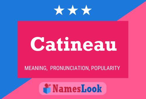 Poster del nome Catineau