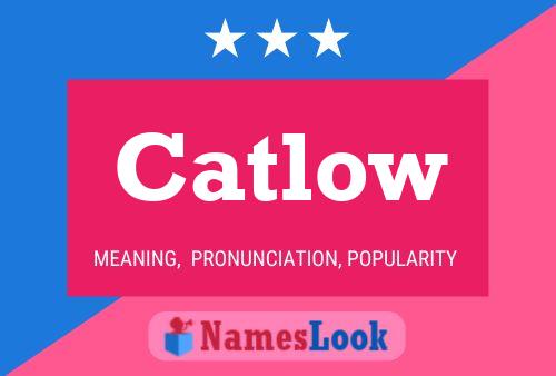 Poster del nome Catlow