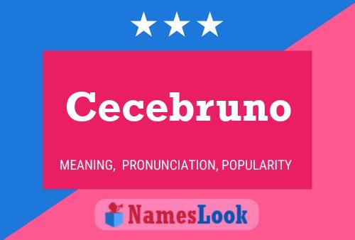 Poster del nome Cecebruno