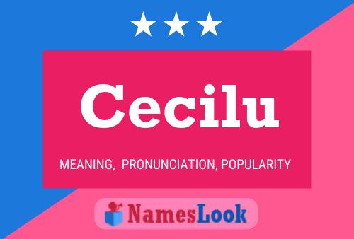 Poster del nome Cecilu