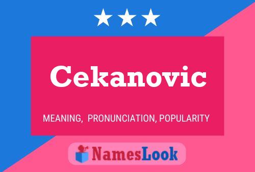 Poster del nome Cekanovic