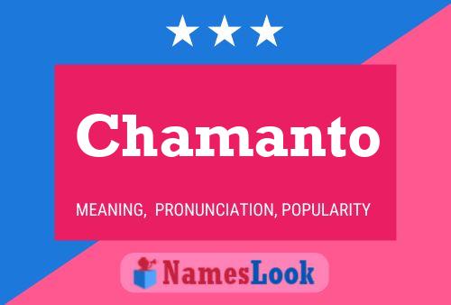 Poster del nome Chamanto