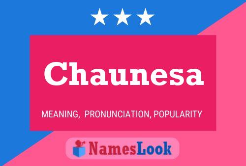 Poster del nome Chaunesa