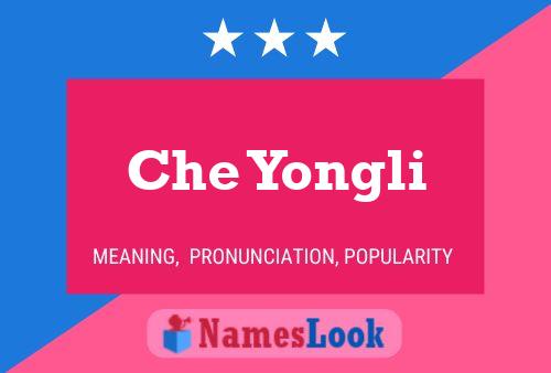 Poster del nome Che Yongli