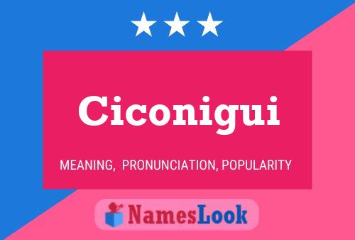 Poster del nome Ciconigui